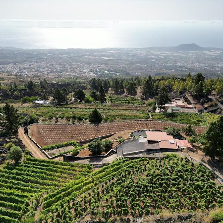 Finca Ecologica Ferrera. Alojamiento Rural. Arafo Exterior photo