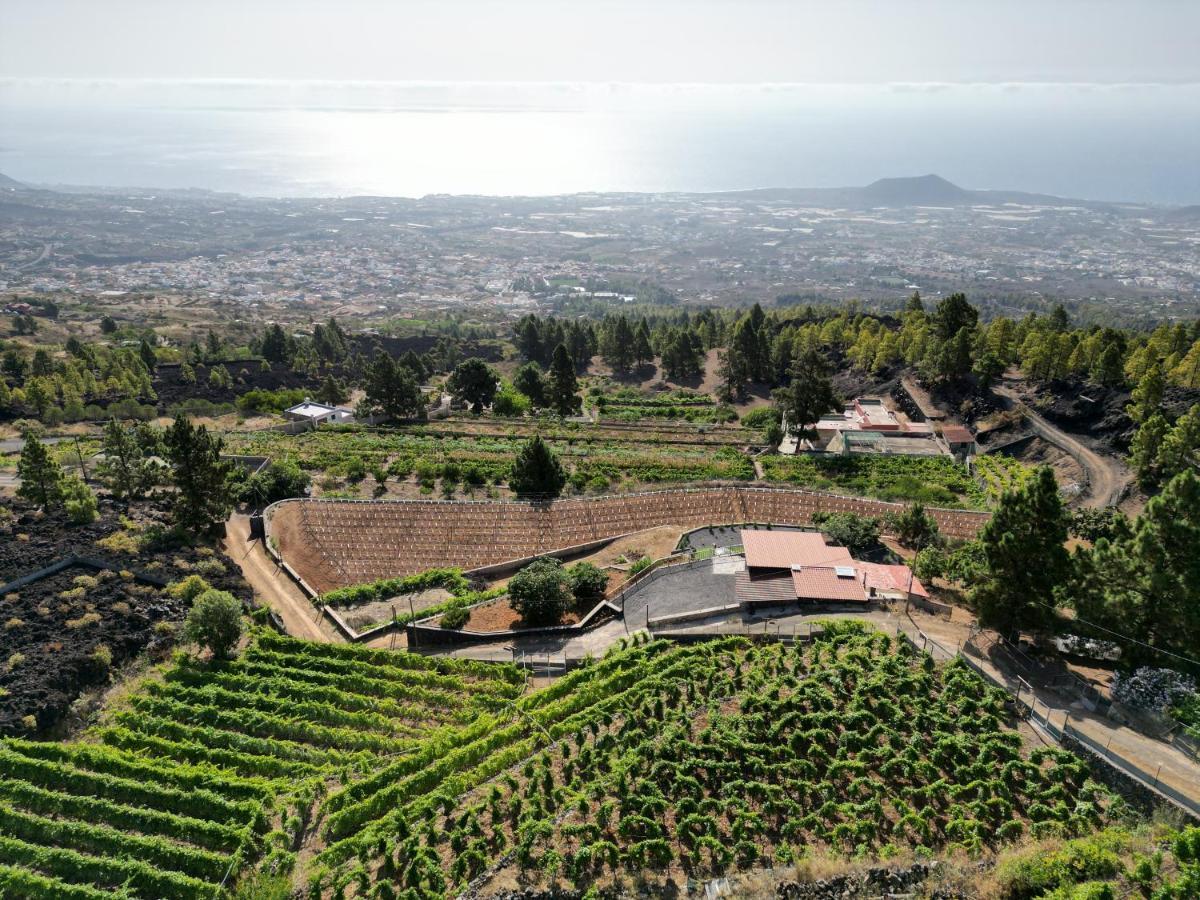 Finca Ecologica Ferrera. Alojamiento Rural. Arafo Exterior photo